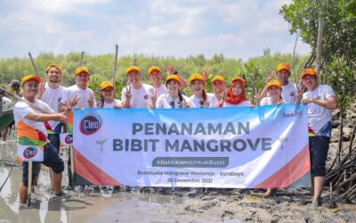 Cleo Dukung Kelestarian Alam dengan 55.000 Pohon Mangrove